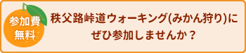 みかん狩り